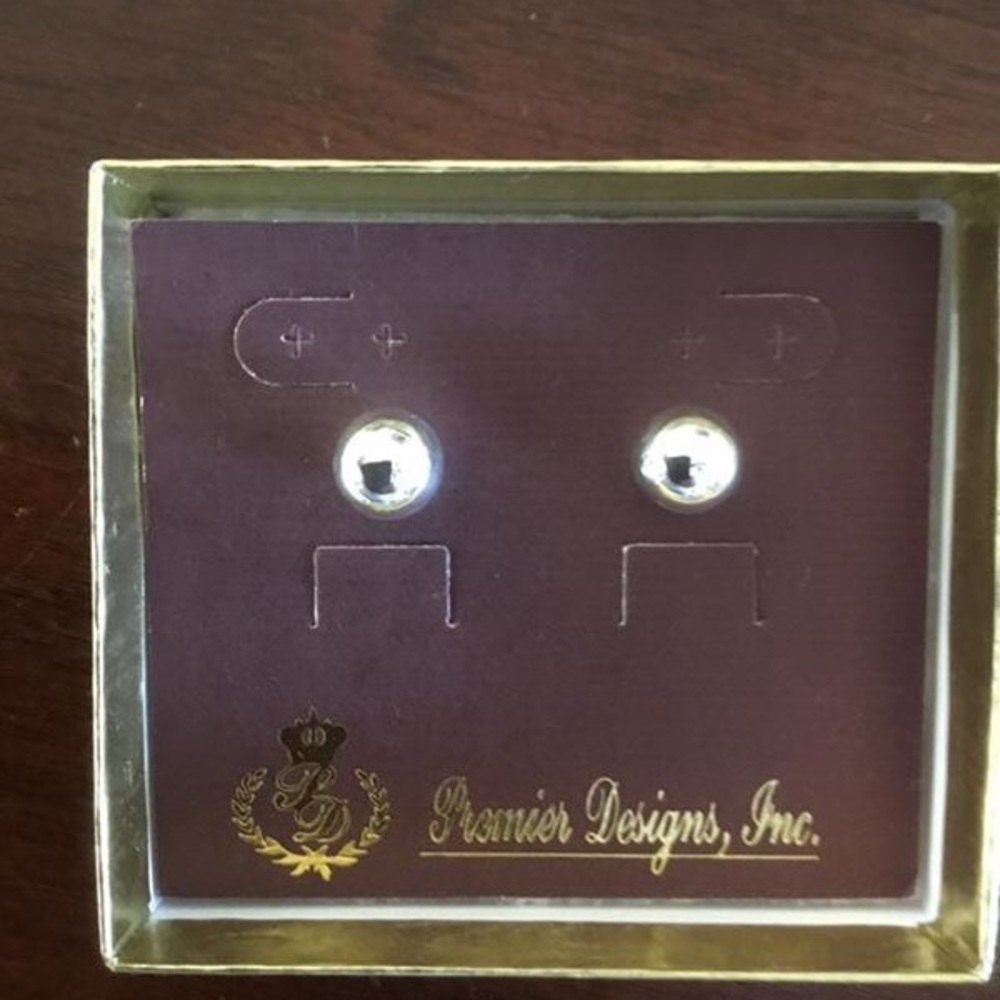 Silver Stud Earrings (Costume Jewelry)